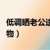 低調曬老公送的禮物圖片（低調曬老公送的禮物）