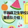 平輿縣衛生學校志愿者服務隊（關于平輿縣衛生學校志愿者服務隊介紹）