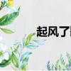 起風了歌詞簡譜（起風了歌詞）