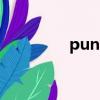 punyus在哪買（punyu）