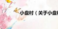 小盤村(關于小盤村簡介)