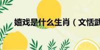 嬉戲是什么生肖(文恬武嬉打一生肖)