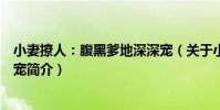 小妻撩人:腹黑爹地深深寵(關于小妻撩人:腹黑爹地深深寵簡介)