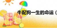 牛配狗一生的命運(牛配狗)