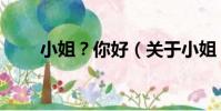 小姐?你好(關于小姐?你好簡介)