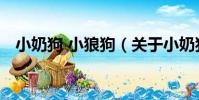 小奶狗 小狼狗(關于小奶狗 小狼狗簡介)