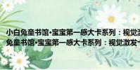 小白兔童書館·寶寶第一感大卡系列:視覺激發卡 適合0-3歲(關于小白兔童書館·寶寶第一感大卡系列:視覺激發卡 適合0-3歲簡介)