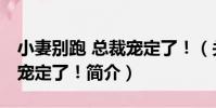 小妻別跑 總裁寵定了!(關于小妻別跑 總裁寵定了!簡介)