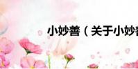 小妙善(關于小妙善簡介)