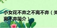 小女花不棄之不離不棄(關于小女花不棄之不離不棄簡介)