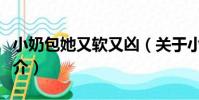 小奶包她又軟又兇(關于小奶包她又軟又兇簡介)