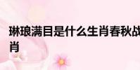 琳瑯滿目是什么生肖春秋戰國亂紛紛是什么生肖
