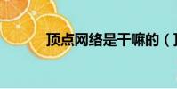 頂點網絡是干嘛的(頂點網絡)