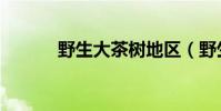 野生大茶樹地區(野生大茶樹)