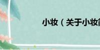 小妝(關于小妝簡介)