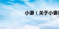 小妻(關于小妻簡介)