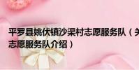 平羅縣姚伏鎮沙渠村志愿服務隊(關于平羅縣姚伏鎮沙渠村志愿服務隊介紹)