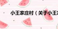 小王家莊村(關于小王家莊村簡介)