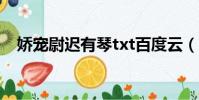 嬌寵尉遲有琴txt百度云(嬌寵尉遲有琴)