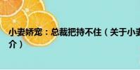 小妻嬌寵:總裁把持不住(關于小妻嬌寵:總裁把持不住簡介)