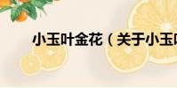 小玉葉金花(關于小玉葉金花簡介)