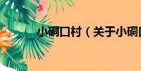 小硐口村(關于小硐口村簡介)