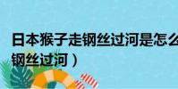 日本猴子走鋼絲過河是怎么回事(日本猴子走鋼絲過河)