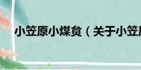 小笠原小煤炱(關于小笠原小煤炱簡介)