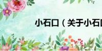 小石口(關于小石口簡介)