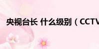 央視臺長 什么級別(CCTV臺長什么級別)