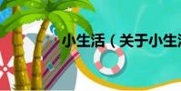 小生活(關于小生活簡介)