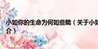 小如你的生命為何如些脆(關于小如你的生命為何如些脆簡介)
