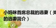 小媽咪首席總裁的逃妻(關于小媽咪首席總裁的逃妻簡介)
