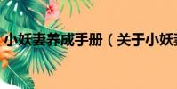 小妖妻養成手冊(關于小妖妻養成手冊簡介)