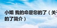 小姐 我的命是您的了(關于小姐 我的命是您的了簡介)
