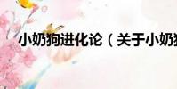小奶狗進化論(關于小奶狗進化論簡介)