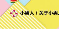 小男人(關于小男人簡介)