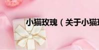 小貓玫瑰(關于小貓玫瑰簡介)