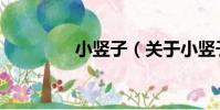 小豎子(關于小豎子簡介)