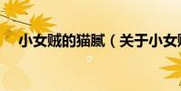 小女賊的貓膩(關于小女賊的貓膩簡介)