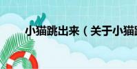 小貓跳出來(關于小貓跳出來簡介)