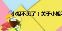 小姐不見了(關于小姐不見了簡介)