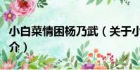 小白菜情困楊乃武(關于小白菜情困楊乃武簡介)