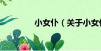 小女仆(關于小女仆簡介)