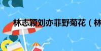 林志穎劉亦菲野菊花(林志穎 劉亦菲)