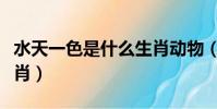 水天一色是什么生肖動物(水天一色是什么生肖)