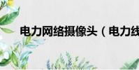 電力網絡攝像頭(電力線網絡攝像機)