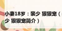小妻18歲:裴少 狠狠寵(關于小妻18歲:裴少 狠狠寵簡介)