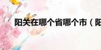 陽關在哪個省哪個市(陽關在哪個省)