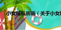 小女賊私房畫(關于小女賊私房畫簡介)